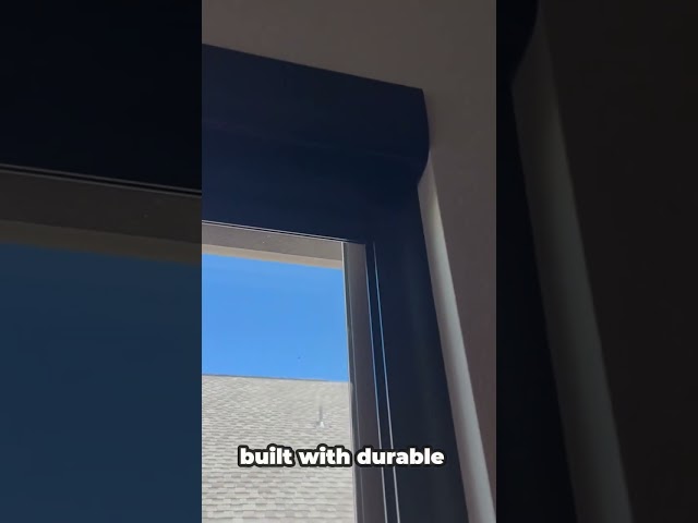 Ultimate Light Blocker: Norman Light Guard 360™ | Bumble Bee Blinds of Austin