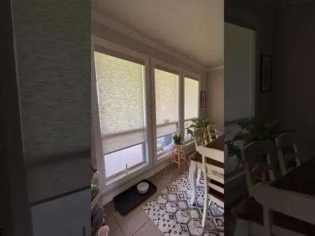 Sleek Motorized Roller Shades in West Lake Hills | Bumble Bee Blinds of Austin