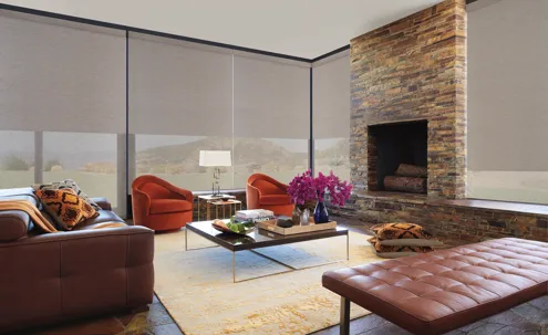 Motorized Shades vs. Manual: What Louisville CO Homeowners Need to Know