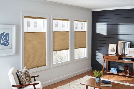 Child- and Pet-Safe Window Treatments for Boulder Homes: Safety Meets Style