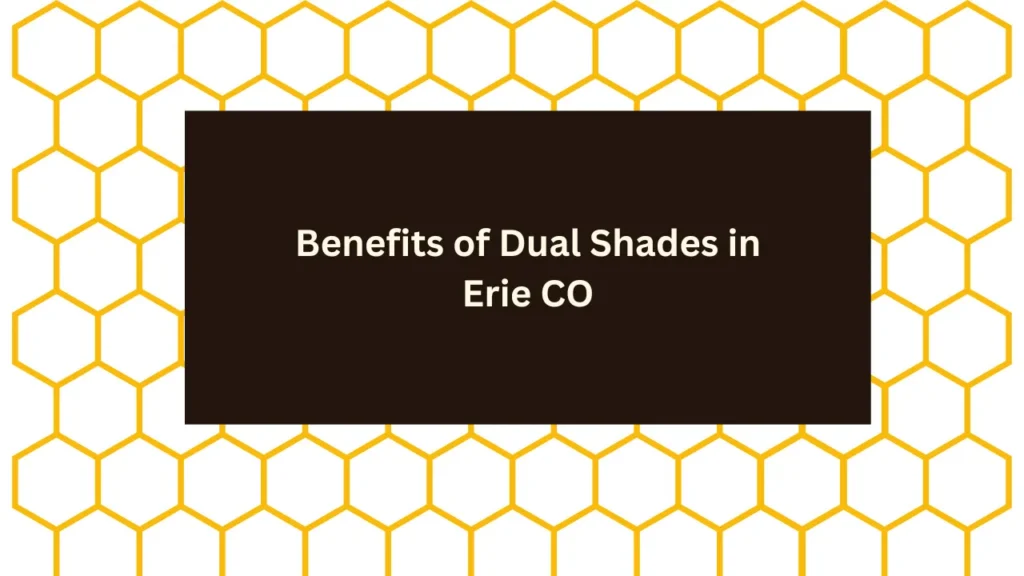 Benefits of Dual Shades in Erie CO