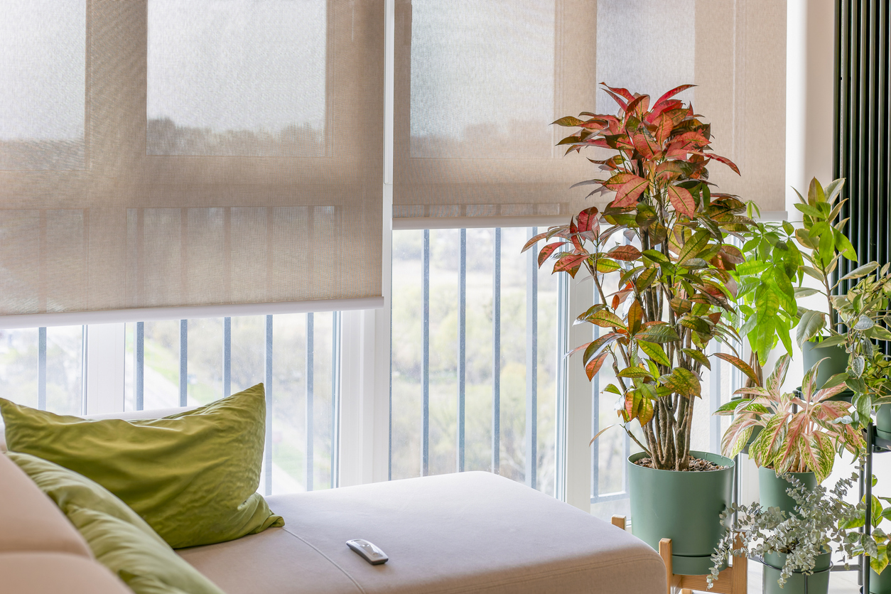 smart blinds