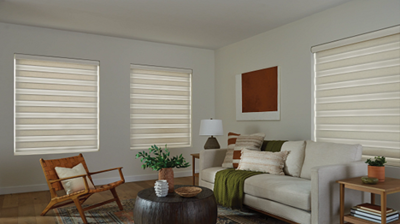 A cozy living room with zebra blinds