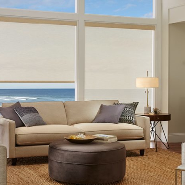 Sunscreen Roller Shades Bumble Bee Blinds