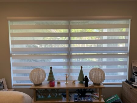 banded shades in coral springs fl