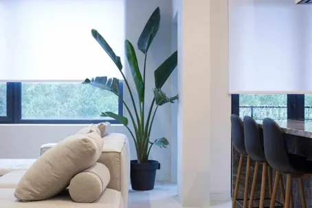 Denton’s 2025 Window Blind Trend Predictions