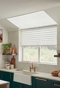 Blindside the Sun: How UV-Blocking Bumble Bee Blinds Protect Your Home