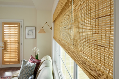 Bamboo, Babe: Why You Should Get Sustainable Bumble Bee Blinds?