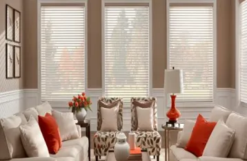 7 Expert Tips for Choosing Window Shades in Fernandina Beach