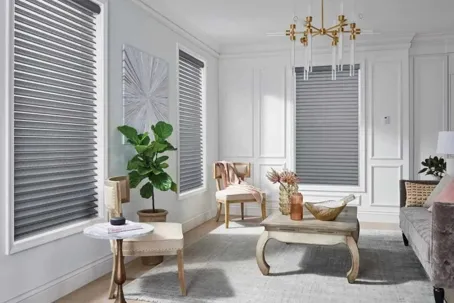 Motorized Blinds vs Shades: What’s Best for Your Dallas Home?
