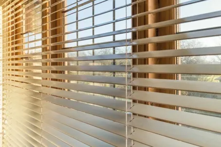 Motorized Blinds vs. Motorized Shutters in Dallas