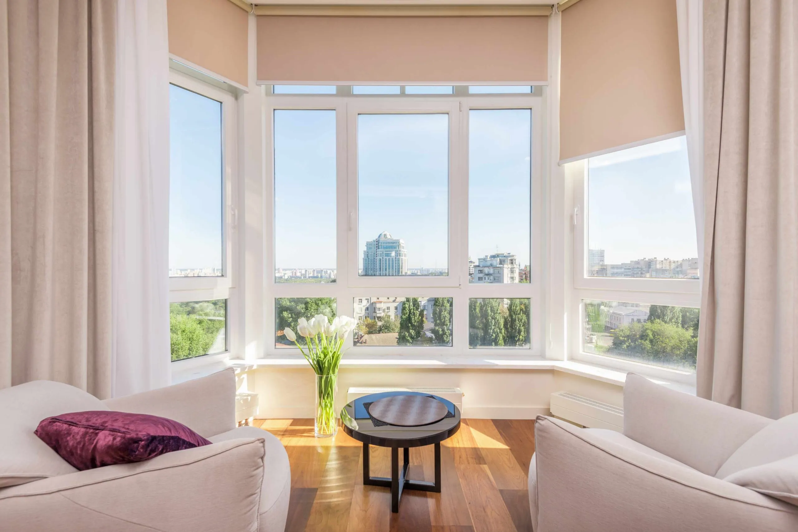 Motorized window shades