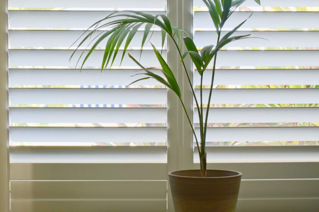 How to Choose the Right Shutter Material for Your Dallas Home