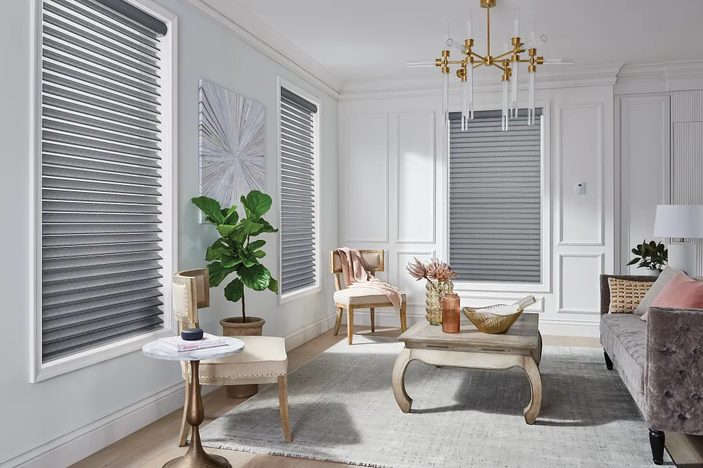 motorized window treatments