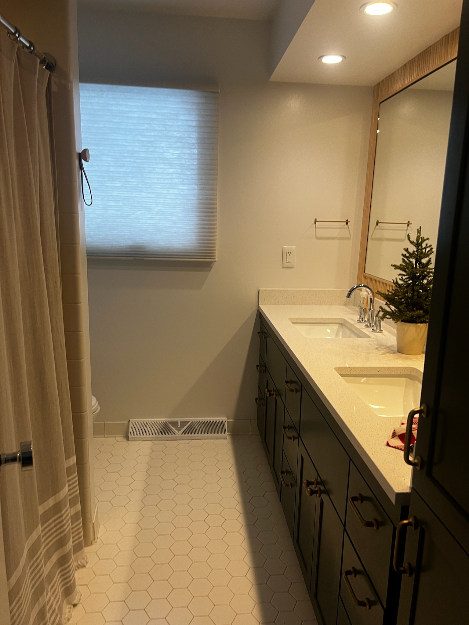 Cellular/Honeycomb Shades