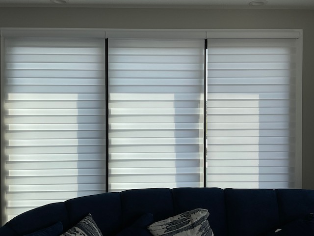 Dual Layer/Zebra Shades