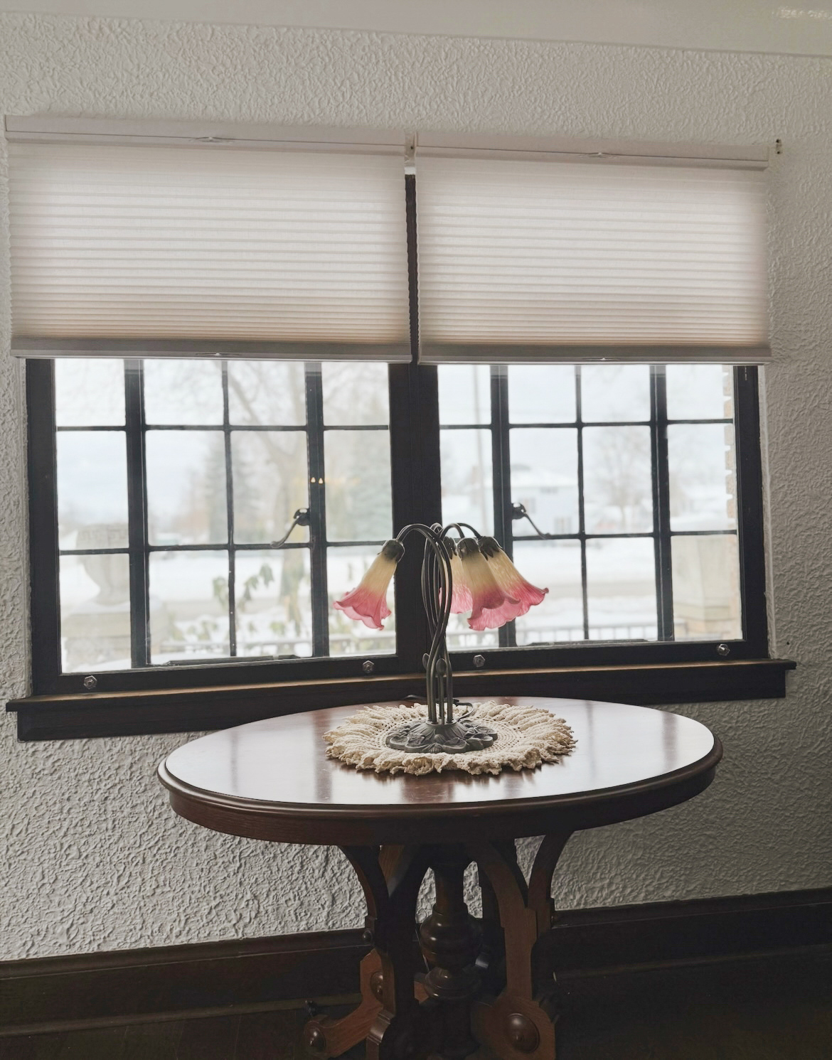 Honeycomb light filtering shades