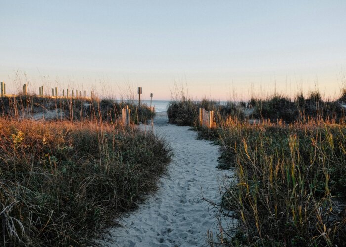 Sandy beach path through the dunes on Isle of Palms, SC