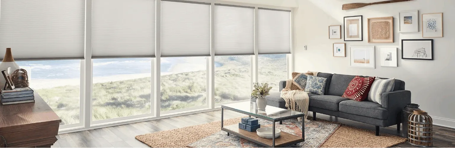 Bumble Bee Blinds of Madison