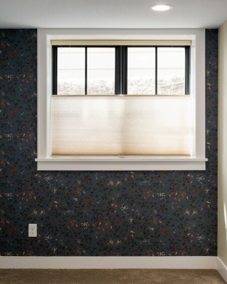 Cellular Shade Top Down Bottom Up in Excelsior, MN