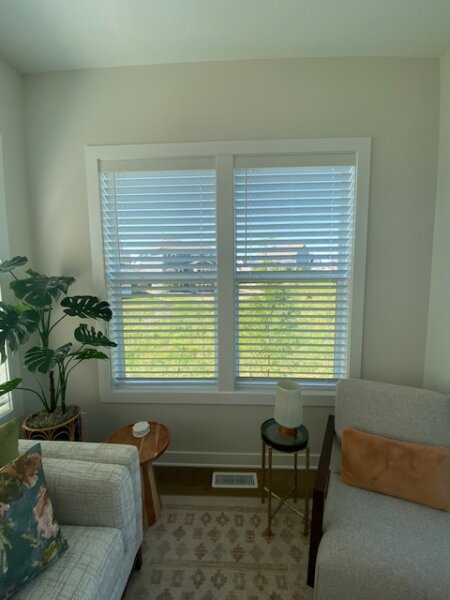 Faux Wood Blinds in Chaska