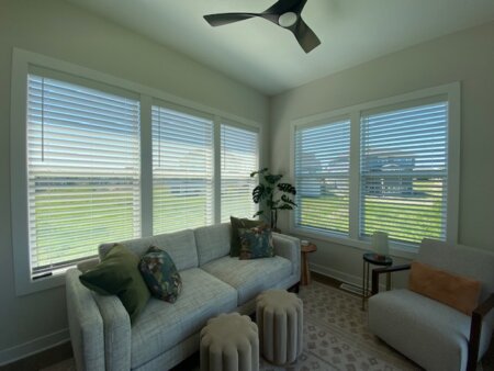 Horizontal Blinds in Excelsior