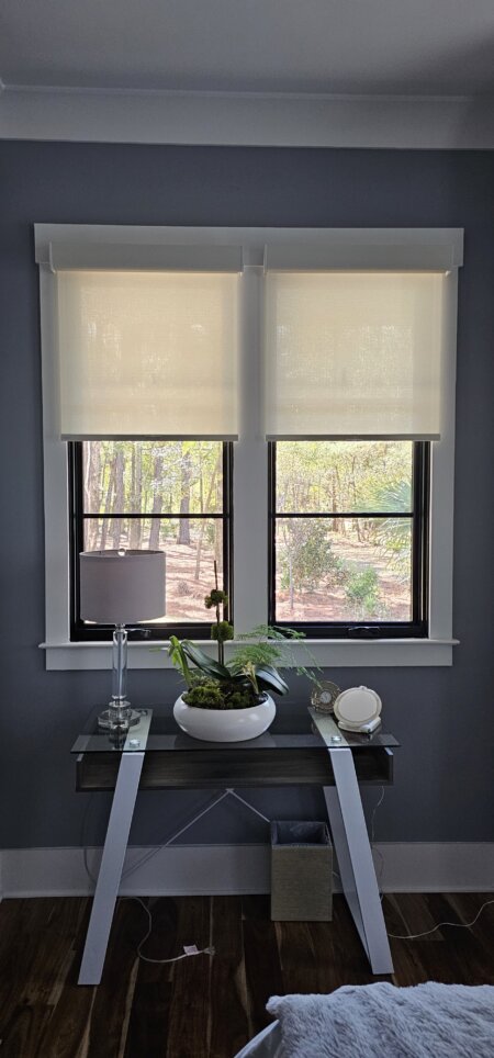 Roller Shade in Chaska