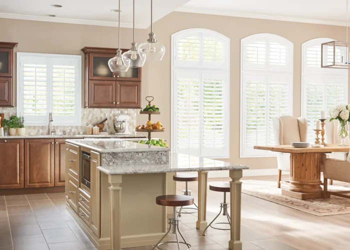 Modern Window Treatment in Mound