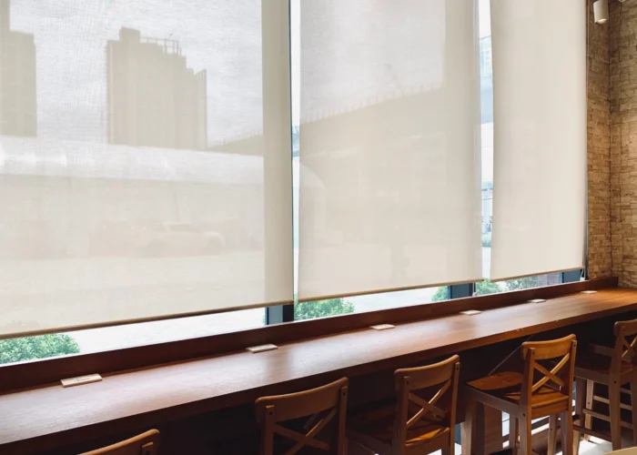 Roller Shades in Mound