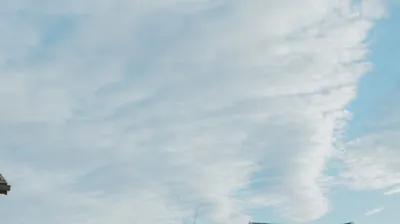 What Bumble Bee Blinds Can Do For You