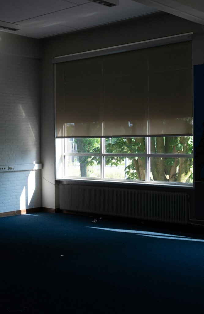 Blackout Blinds: Everything You Need to Know