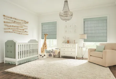 Pet- and Kid-Friendly Window Treatments for Homes in Northwest San Antonio