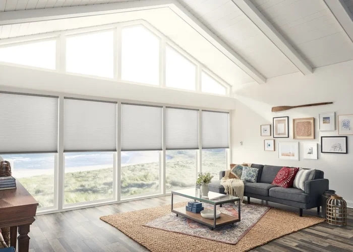 solar shades vs black out shades for palm beach home