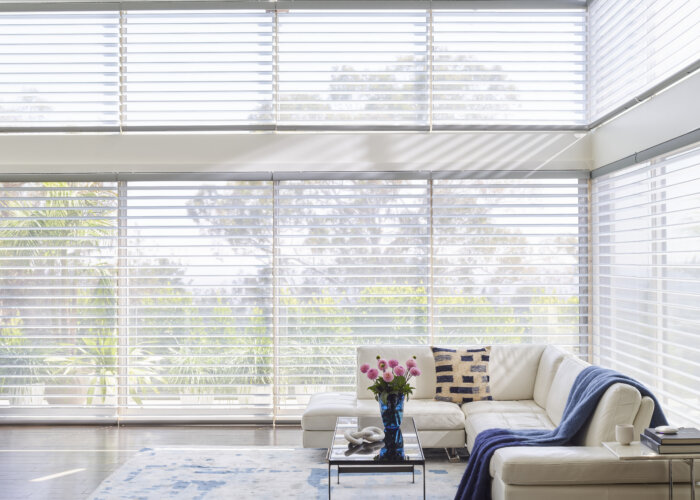 hunter douglas palm beach silhouette