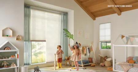 hunter douglas duette for playroom palm beach fl