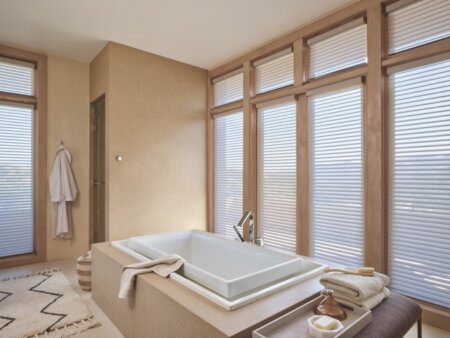 Hunter Douglas Silhouette sheer shadings Jupiter FL