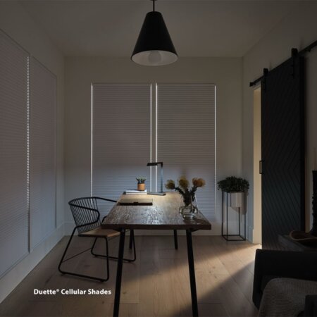 Hunter Douglas shades Palm Beach FL