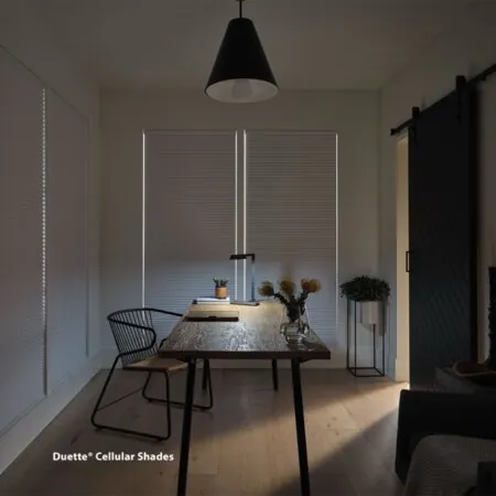 Hunter Douglas shades Palm Beach FL