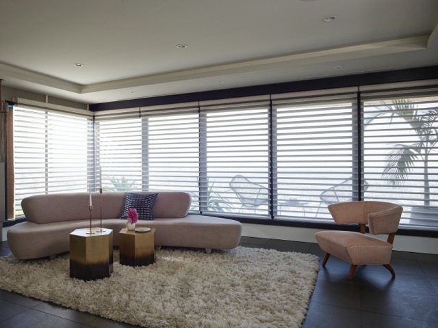 motorized hunter douglas shades