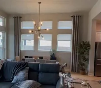 Budget-Friendly Window Treatments That Don’t Sacrifice Style