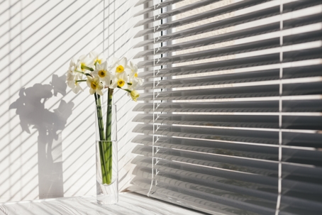 Light, Mood & Style: Choosing Window Treatments That Reflect Your Design Aesthetic