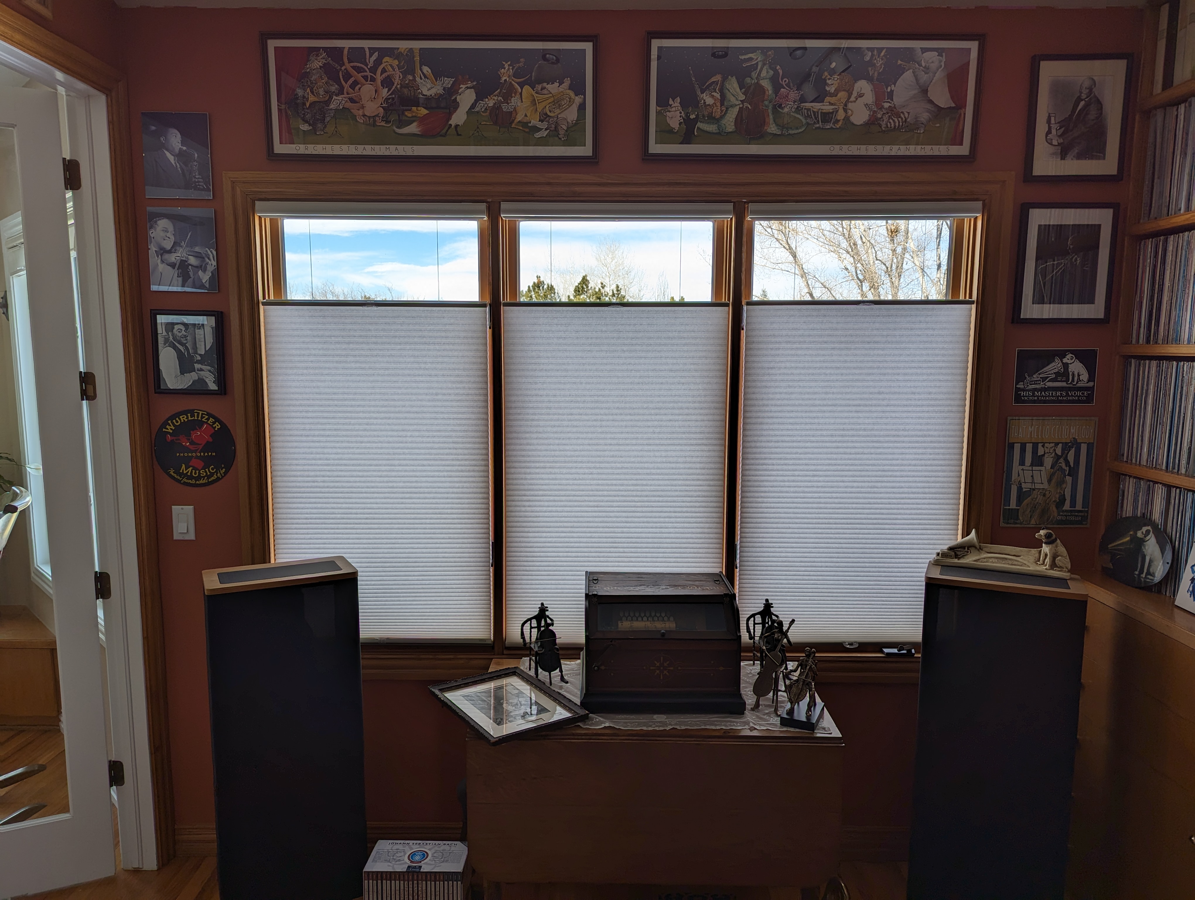 After Honeycomb Shades Greenwood Village