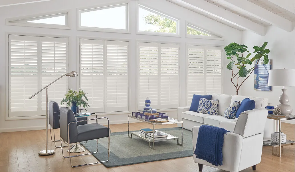 Bumble Bee Blinds