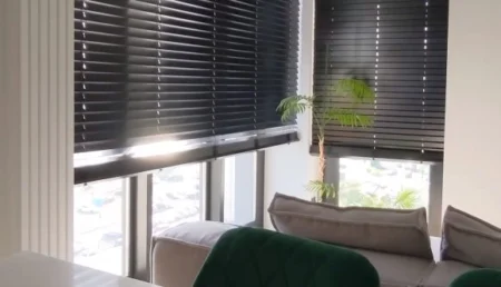 Motorized Blinds