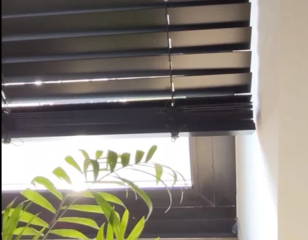 Motorized Blinds Preview 6